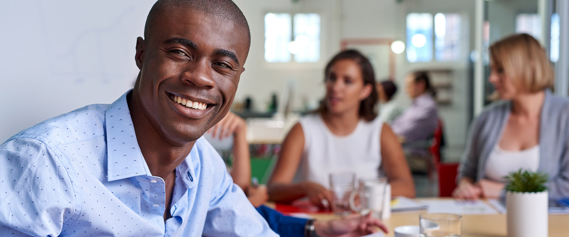 bee compliance part 8