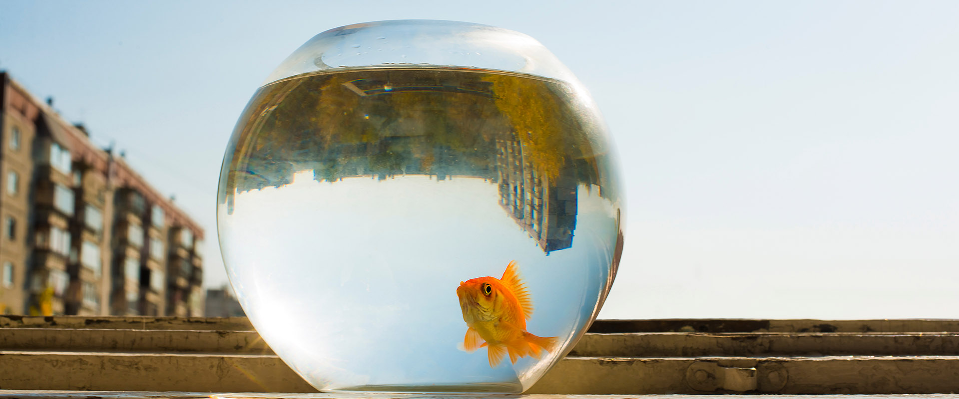 first seconds count in online marketing