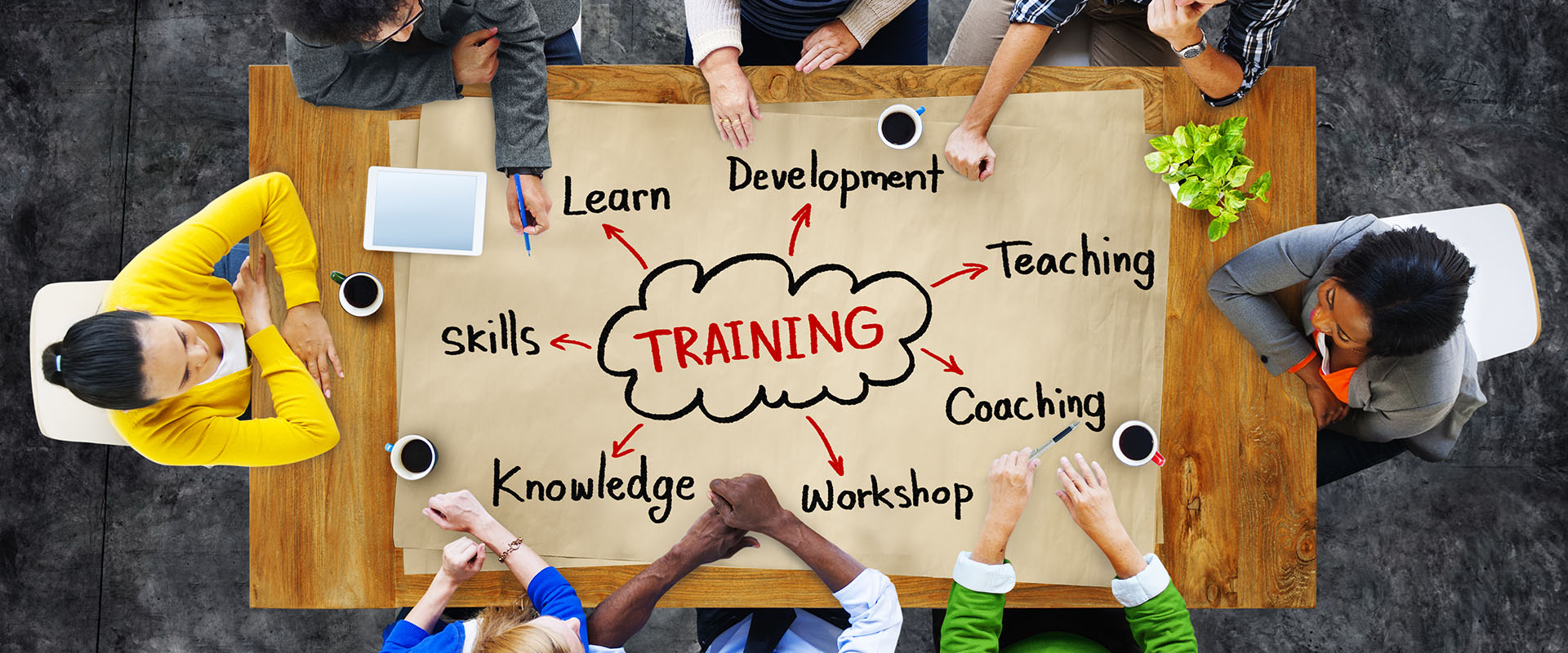 fly by nights cheaper but risky